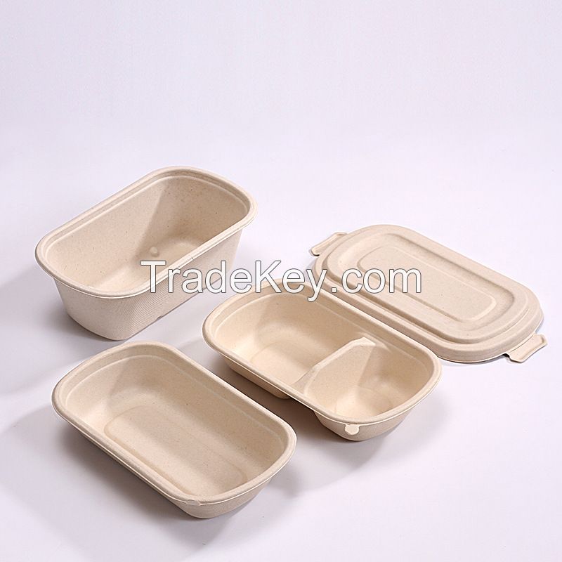 Disposable Tableware