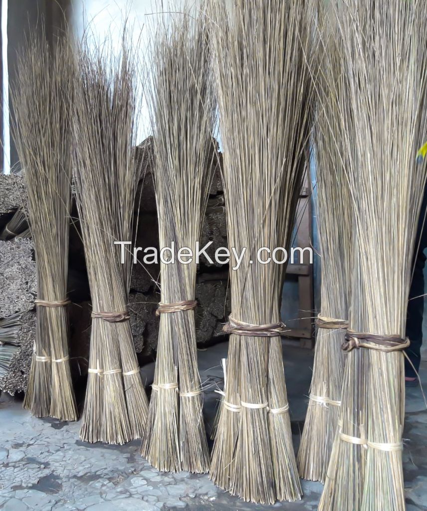 Palm Ekel Broomstick