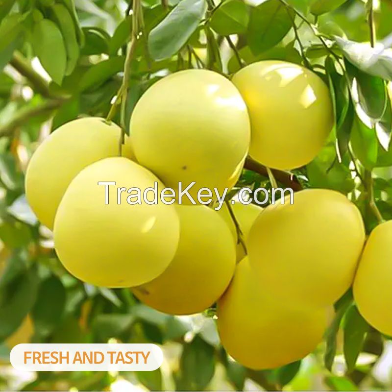 Hainan white grapefruit specialty seasonal fresh fruit white heart pomelo