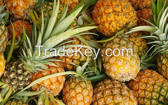 Fresh pineapple - dried pineapple