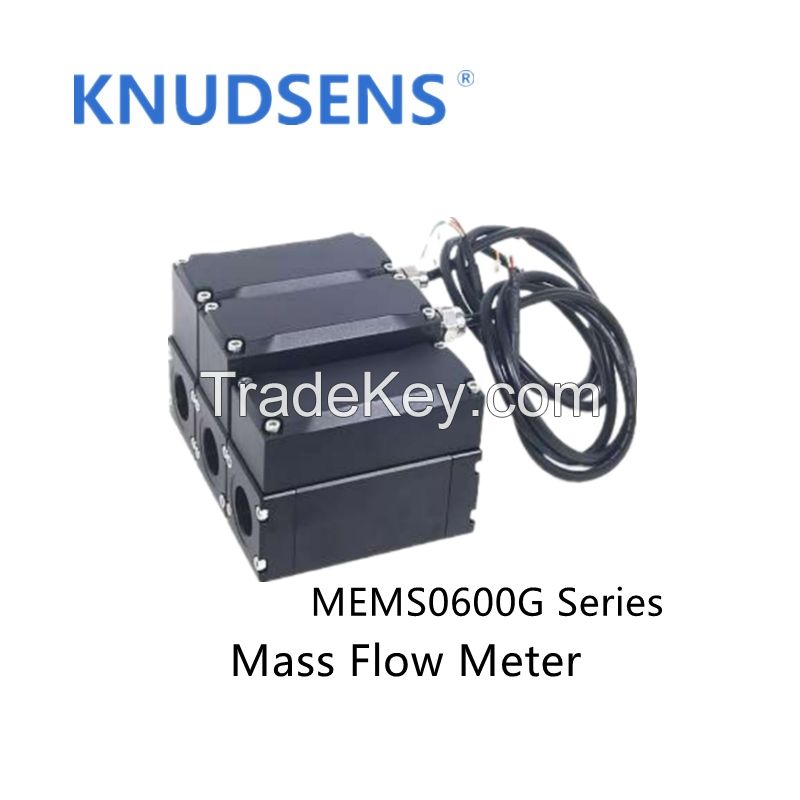 MEMS0600G Series Oil &amp;amp;amp; Gas Flow Meter