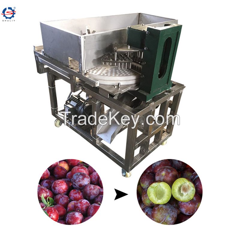 Dates Saudi Arabia Dried Fruit Pitter Palm Dates Pitting Processing Equipment