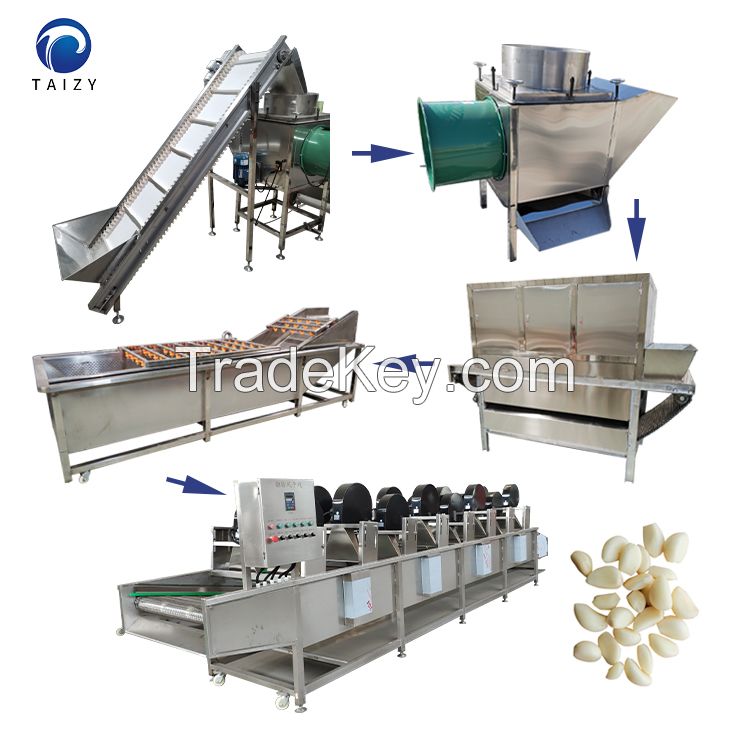 Automatic Dried Garlic Chips Processing Machines