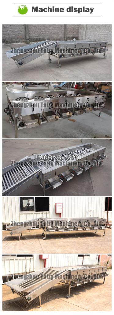 Automatic dates grading sorting machine auto medjool date size small grader and sorter equipment machinery cheap price for sale