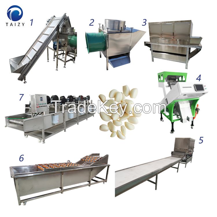 Automatic Dried Garlic Chips Processing Machines