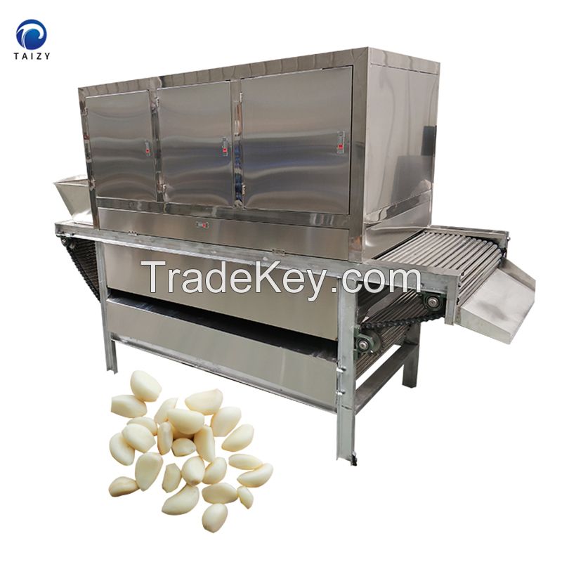 industrial garlic peeler machine commercial garlic peeler from Elva