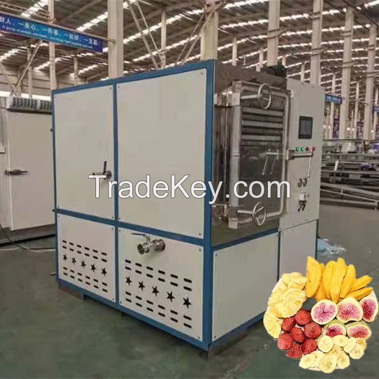 High Efficient Vacuum Freeze Dryer Freeze Drying Machine