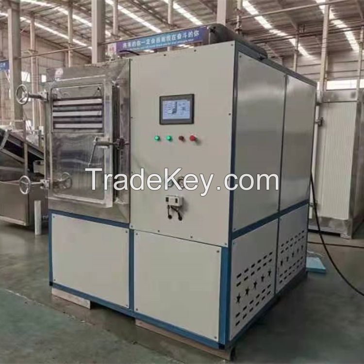 High Efficient Vacuum Freeze Dryer Freeze Drying Machine