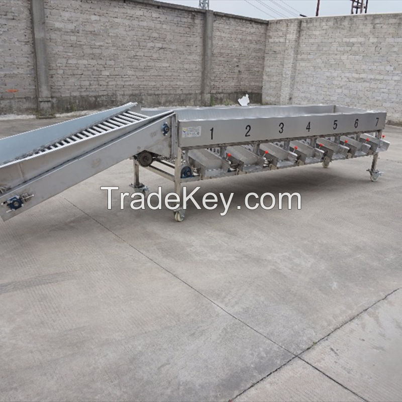 High Quality Industrial Fruit Sorting Citrus Grading Machine