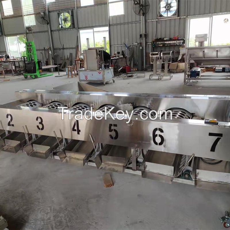 High Quality Industrial Fruit Sorting Citrus Grading Machine