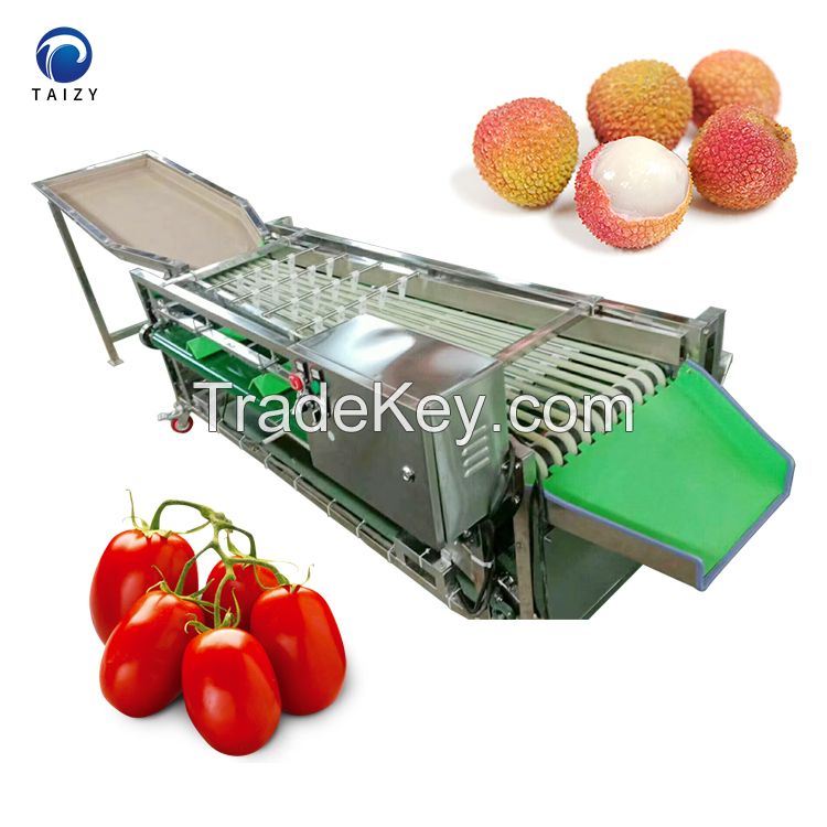 fruit sorting apple dates mango Blueberry grading machine jujube sorting machine