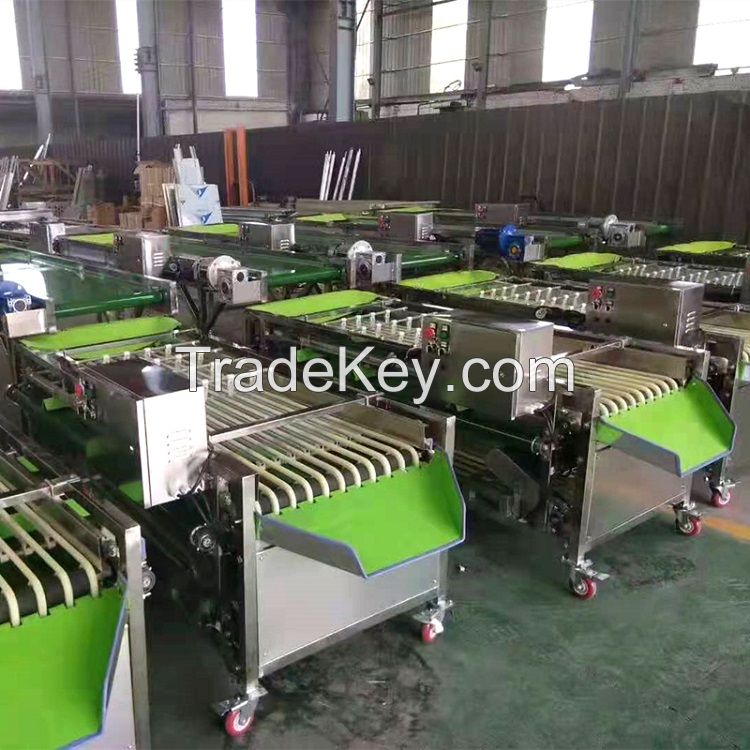 fruit sorting apple dates mango Blueberry grading machine jujube sorting machine