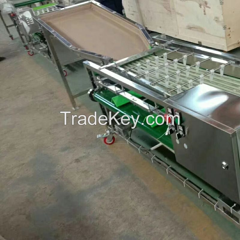 fruit sorting apple dates mango Blueberry grading machine jujube sorting machine