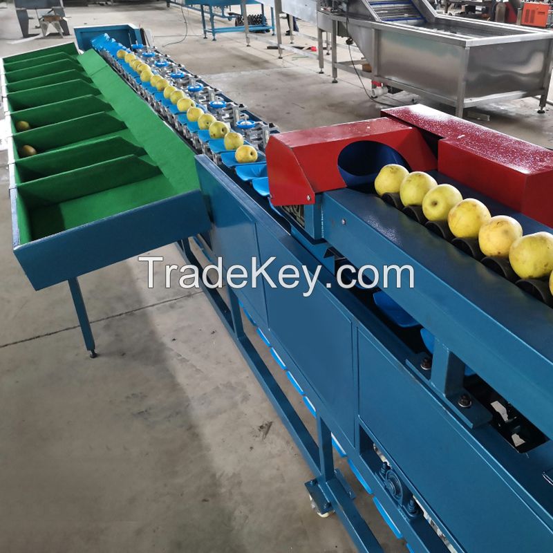 China fruit sorter machine fruit grading machine avocado sorting machine