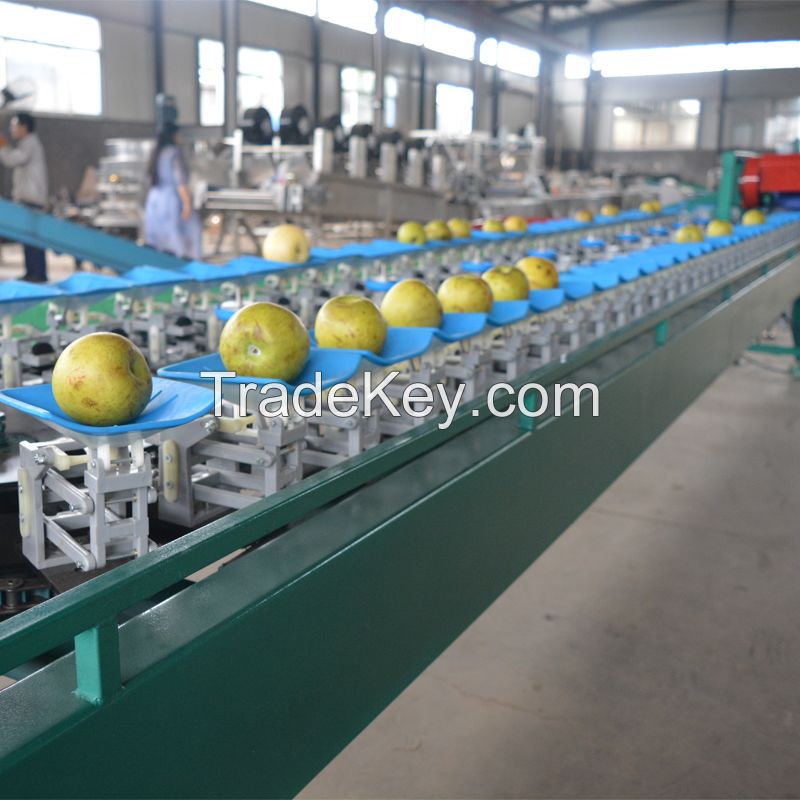 China fruit sorter machine fruit grading machine avocado sorting machine