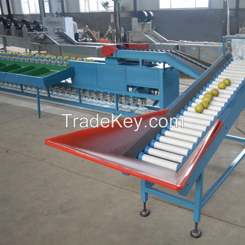 China fruit sorter machine fruit grading machine avocado sorting machine