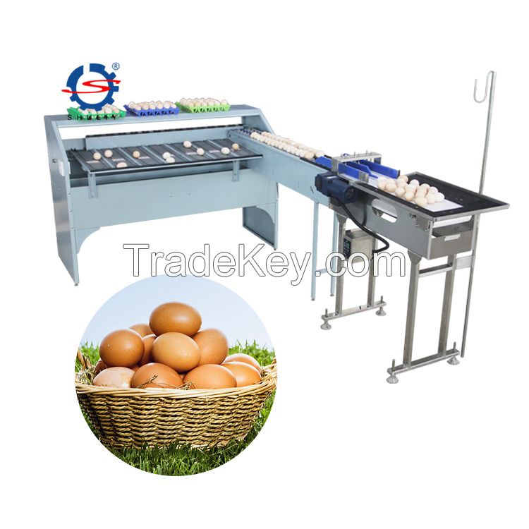 egg classifier machine with vacuum egg suction device and accumulator