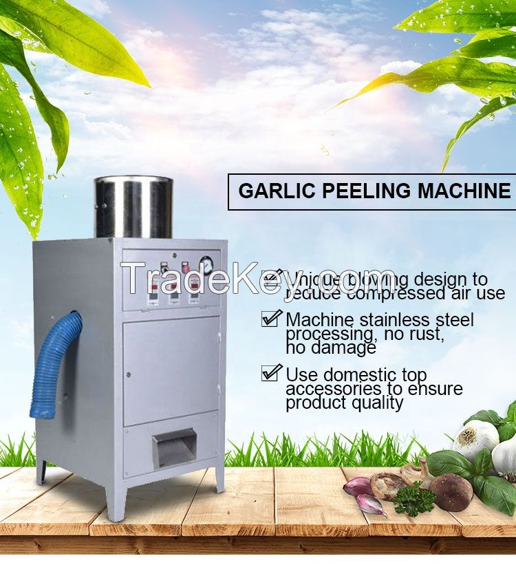 garlic peeler machine fresh peeled garlic project peeling garlic