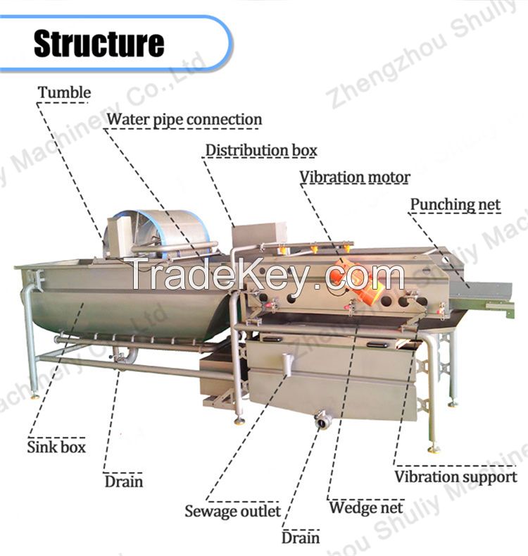 Commercial Stainless Steel Washing Machine Fruit and Vegetable Vortex Bubble Potatoes Radish Washer