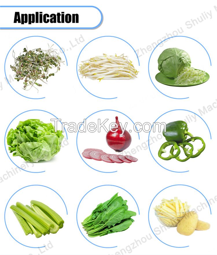 Commercial Stainless Steel Washing Machine Fruit and Vegetable Vortex Bubble Potatoes Radish Washer