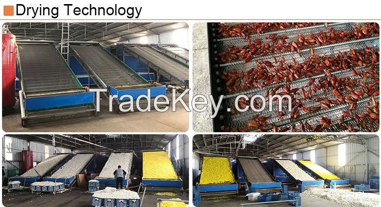 High Capacity Hot Air Continuously Tea Leaf Tray Dryer Vegetable Herb Belt Dryer drying machine