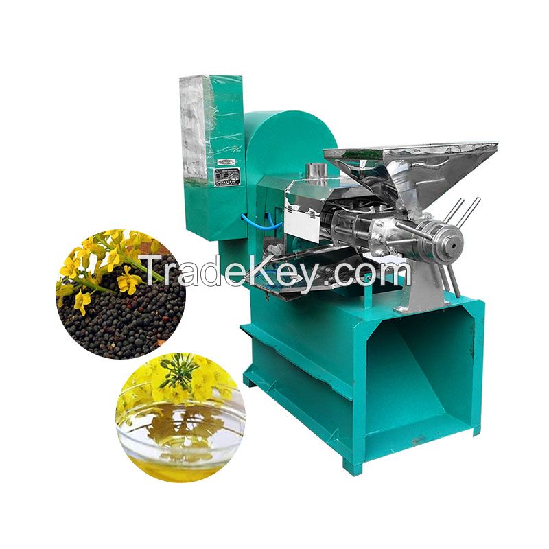 Electric Automatic Screw Cold Oil Pressers Stainless Steel Peanut Sesame Soybean Cotton Sunflower Seeds Oil Press Making Machine