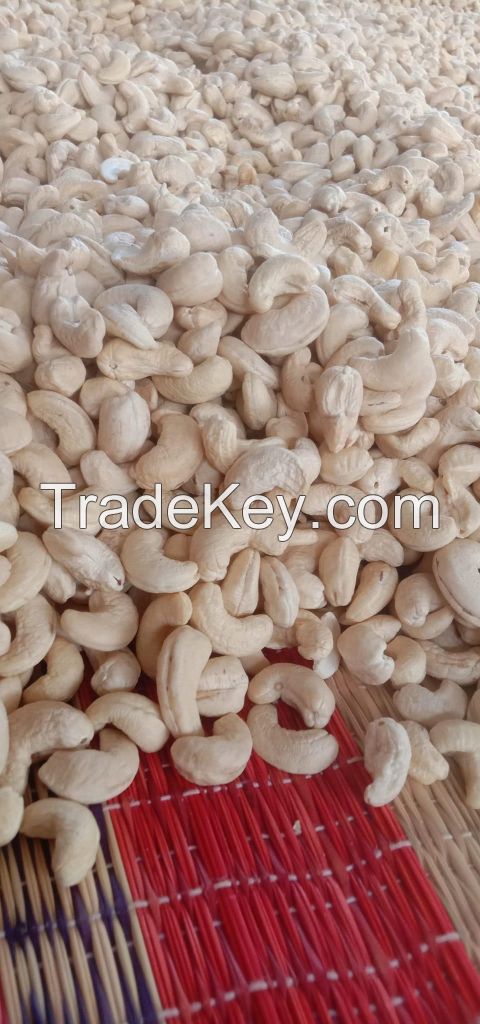 Wholesale Vietnam Roasted Whole Cashew Nuts With Salt W320 Hight Quality Best Price Factory