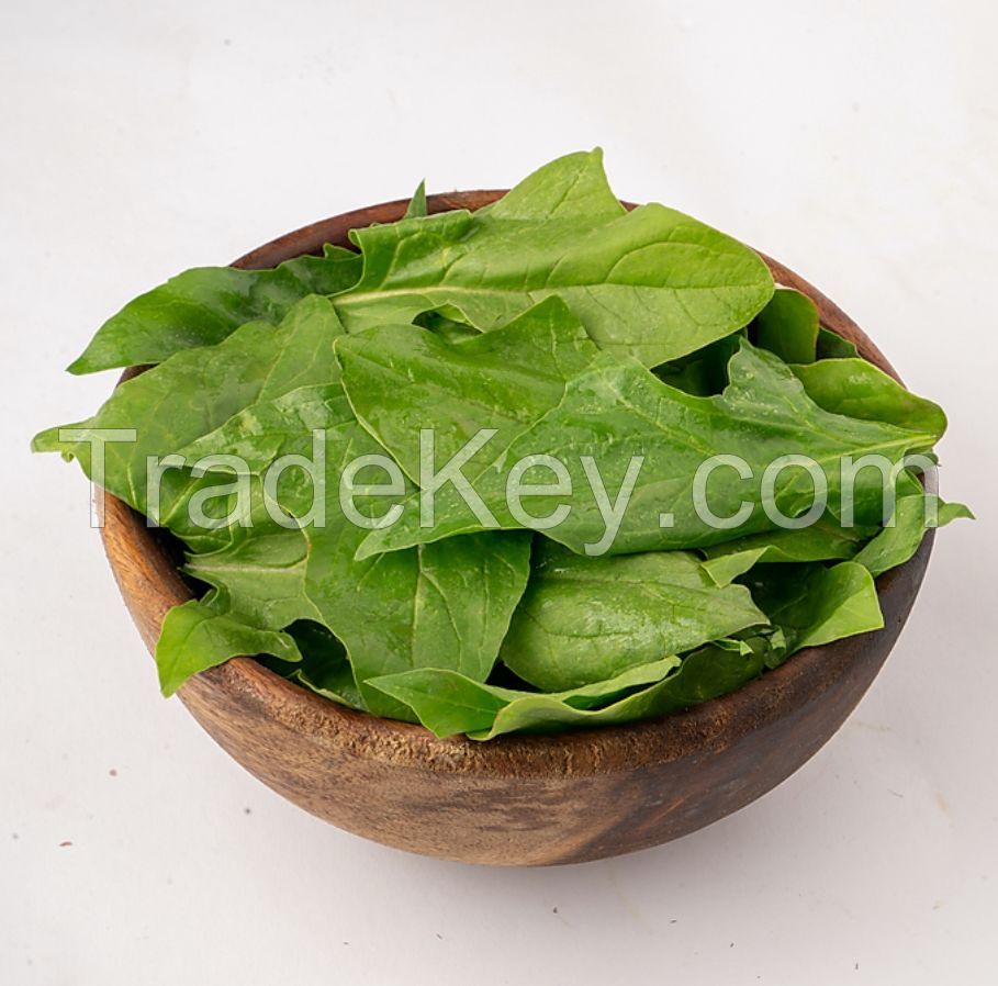 IQF Frozen Spinach - Frozen Vegetables