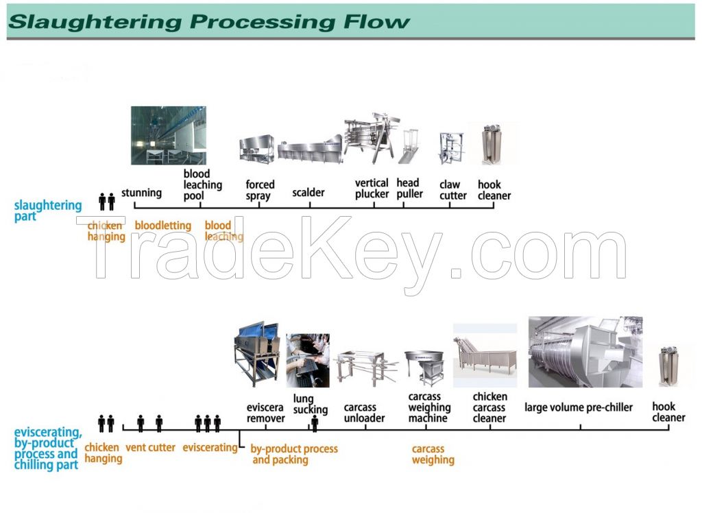 1000-5000bph chicken slaughtering line with vertical plucker chiller