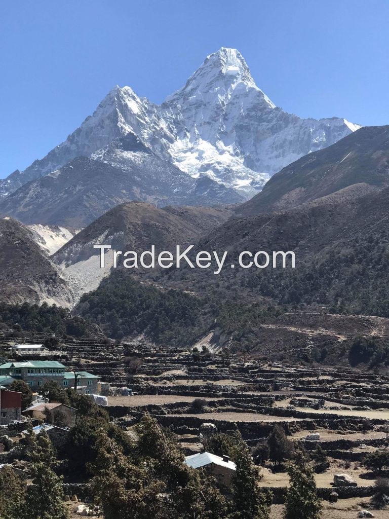 Everest Base Camp Trek