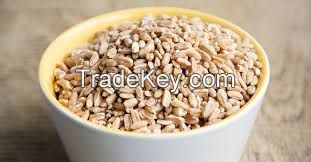 WHEAT GRAIN