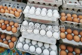 chicken eggs