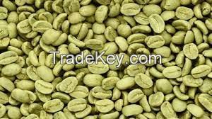 Arabic Coffee Beans