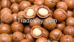 MACADAMIA NUTS