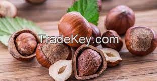 HAZELNUTS