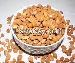 APRICOT KERNEL