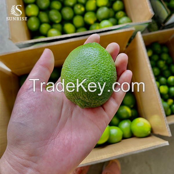 Fresh Seedless Lime from Vietnam