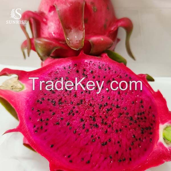 Fresh Dragon Fruit from Vietnam