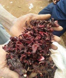 Dried Hibiscus