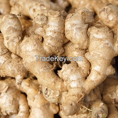 Ginger and turmeric