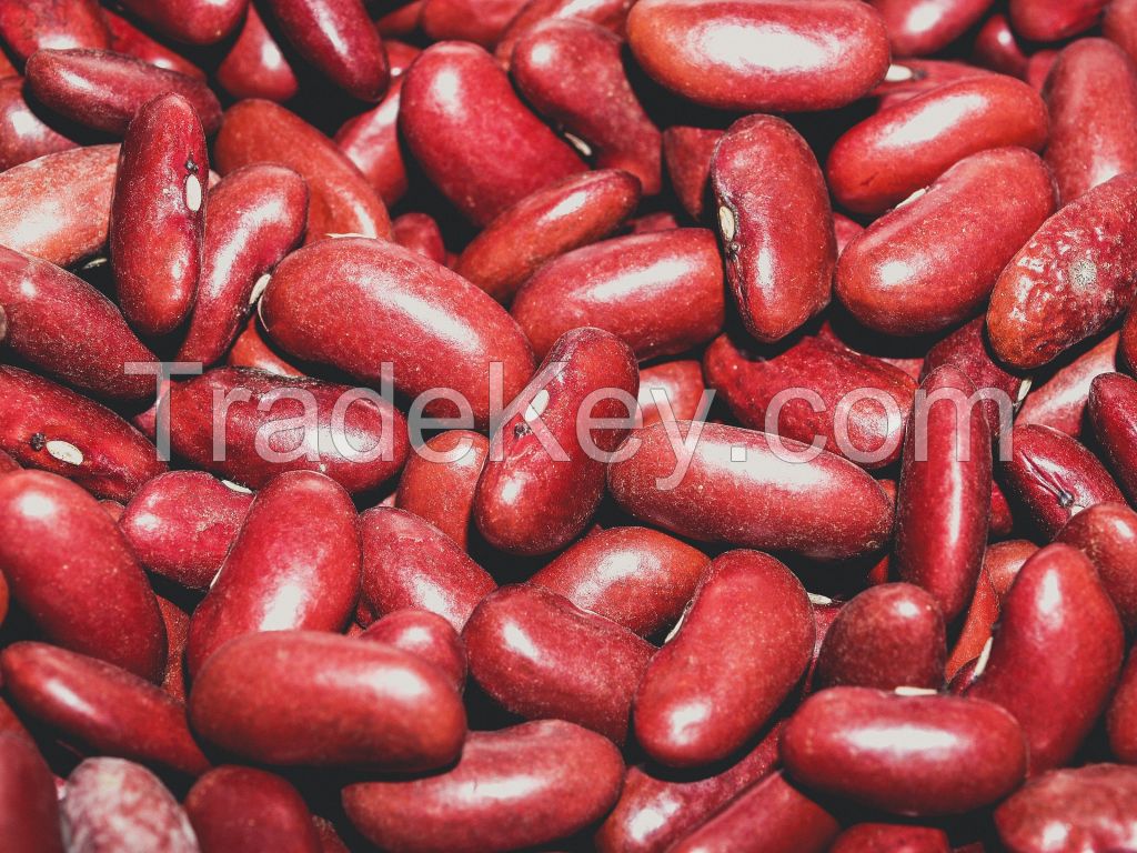 Kidney Beans