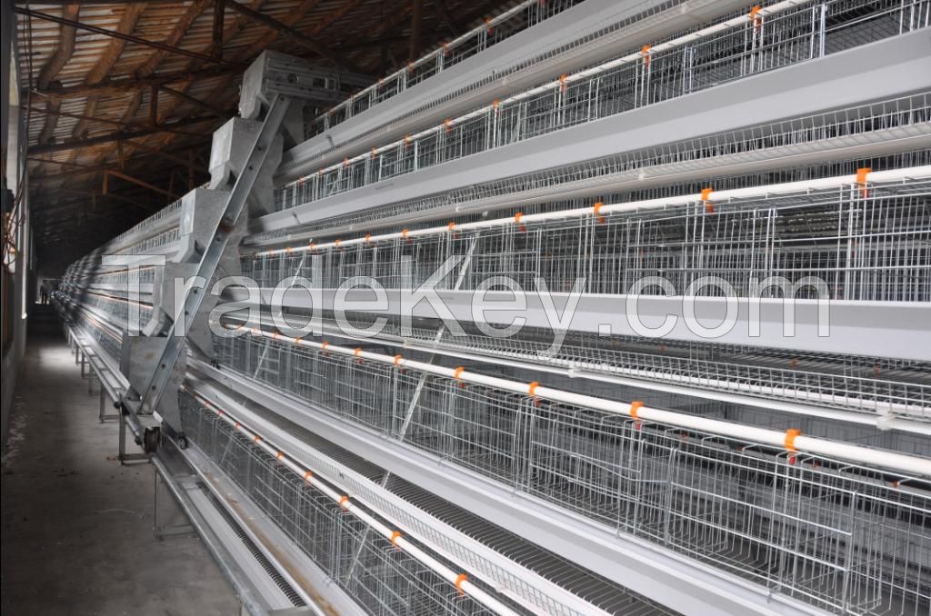 A Type 160 Birds Semi Automatic Hot Dipped Galvanized Layer Cages Egg