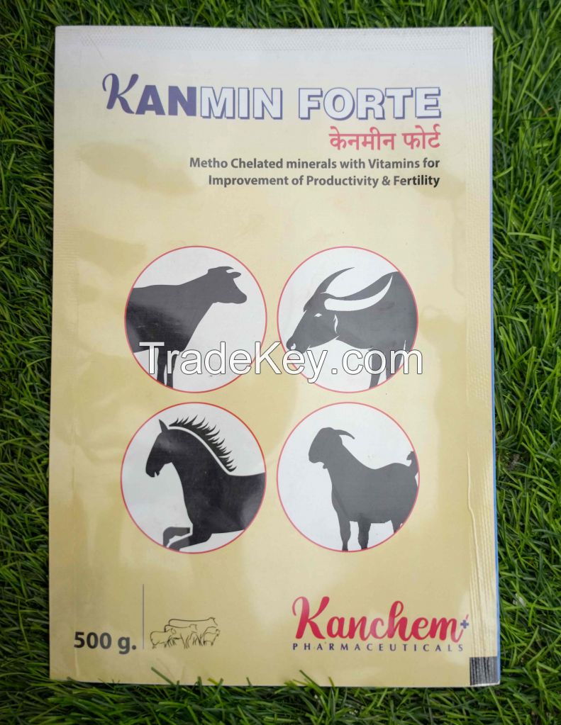 Kanmin Forte