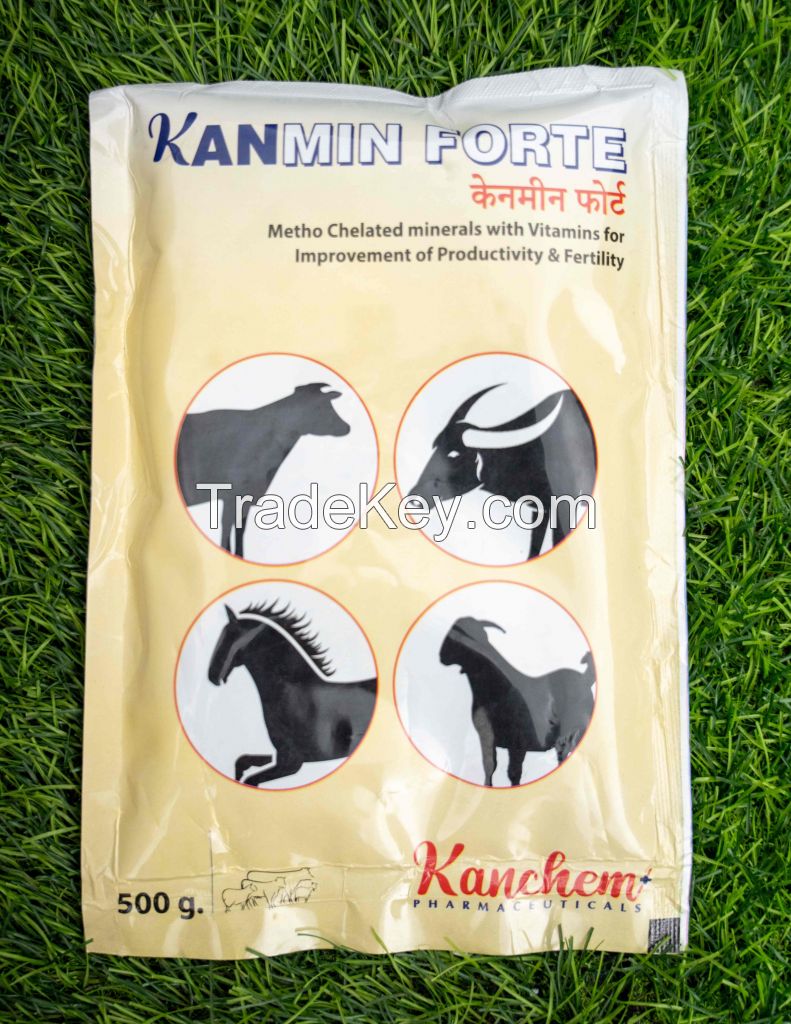 Kanmin Forte