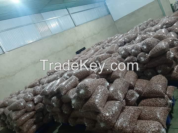 Cashew Nuts W180 W240 W210 W320 W450 LP SP WS