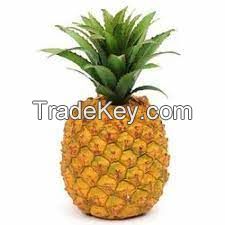 Pineapples 