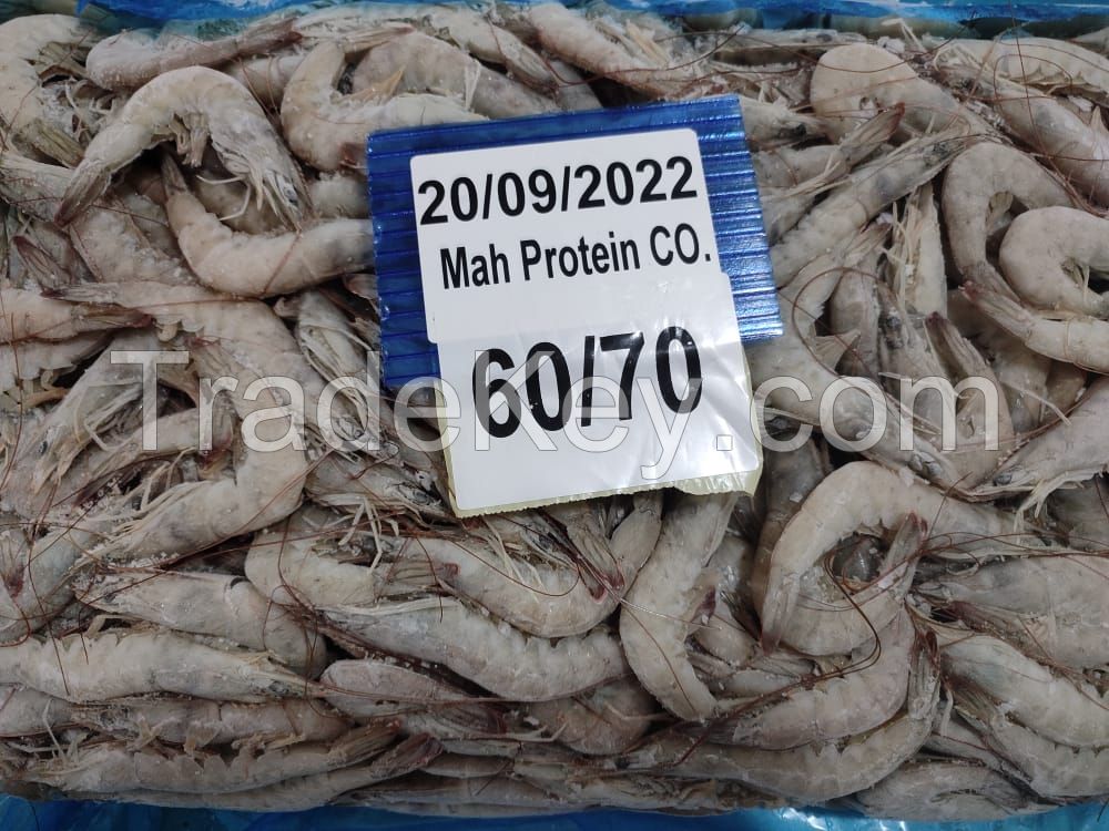 Vannamei Shrimp