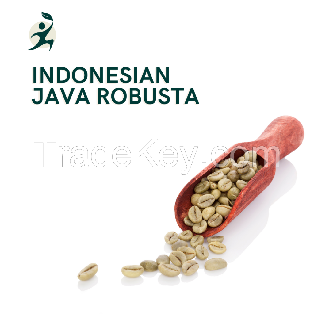 Indonesian Java Robusta Green Bean Coffee