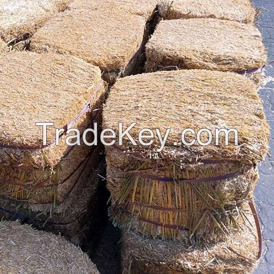 Wholesale Wheat Straw Manufacturers, Exporters and Suppliers in Pakistan