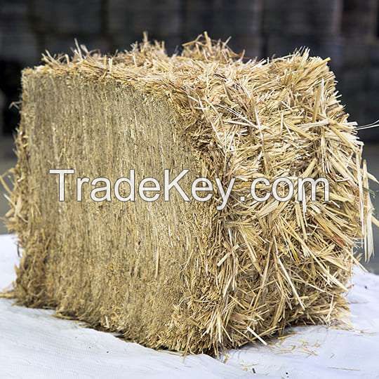 Wholesale Wheat Straw Manufacturers, Exporters and Suppliers in Pakistan